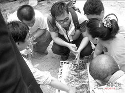 二、景区监管现状：纸上谈兵还是实战无力？