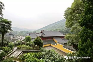 宁波这破地方有啥好玩的？2026年黄历说这里要发大水！