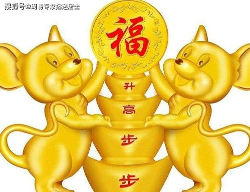 属鼠八字缺木，木鼠命里缺什么五行来补？
