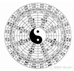 八字算命是根据什么理论来预测命运的？
