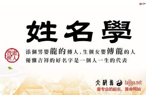 案例一：较小林（全名林晓峰）- 总格13 - 天网6 - 地网4 - 人网8 - 外网7