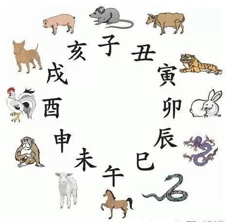 右边年份对应的生肖是什么，那个生肖年又是哪一年？