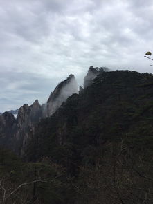 南京出发，黄山一日游，有没有亲子体验新视角的行程推荐？