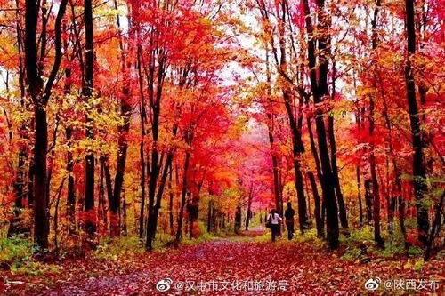 三、 美食—吃着看着玩儿着（别忘了填饱肚子）