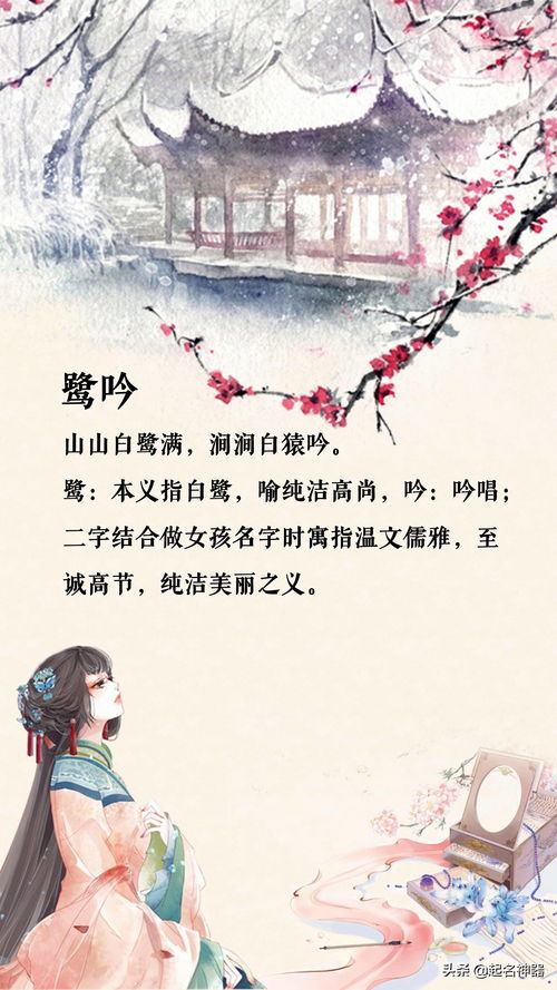 二、 八个字典推荐：八个最佳选择