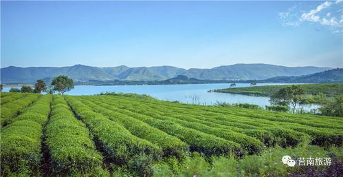 茶溪川，位于何处？
