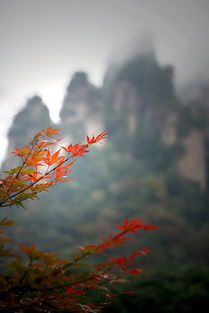 景区小吃？都是科技与狠活啊！