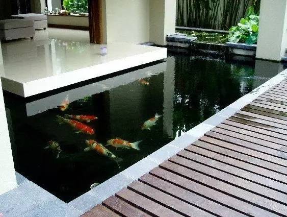 鱼池的风水讲究,鱼池风水布局
