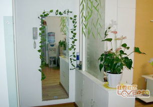 玄关这样摆，桃花运爆棚