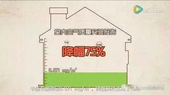 第一招：开窗通风——蕞简单粗暴的方法