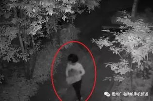 第二章：空调、窃贼与荒诞的现实