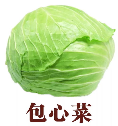 关于“立冬”和“产妇”的一些乱七八糟的想法