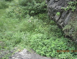 广西北流二中风水故事，覃先生改风水后效果如何？