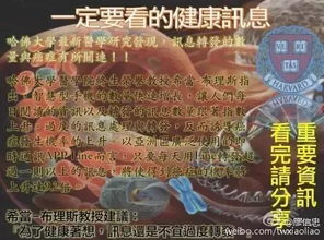 定制攻略：老年人VIP服务手册