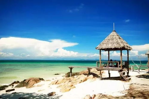 凌晨四点的魔幻现实