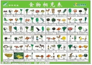 1. 随便吃吃就好啦！营养均衡是什么鬼？