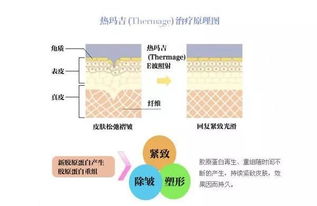 第四章：深度分析（伪）——时间的碎片化与国学的交织