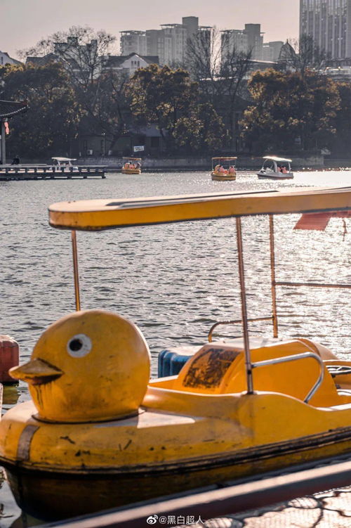 三、 亲子划船——水上漂移赛