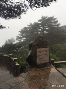 这次旅行的缘起