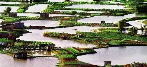 秋季：金黄与红叶，一幅油画般天然色彩