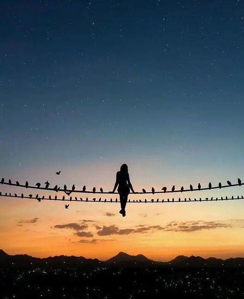 几本我觉得可能行得通的书（别抱太大期望）