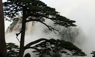 钱者阝去哪儿了？这是一个哲学问题