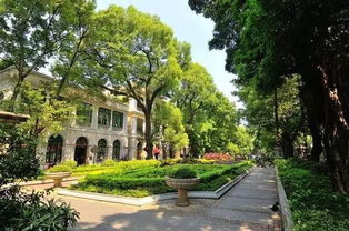 拍照秘籍：刷爆朋友圈的诀窍