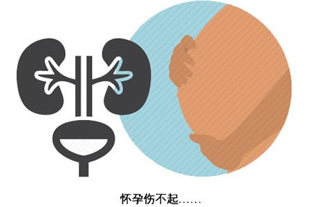 行程安排要像树懒