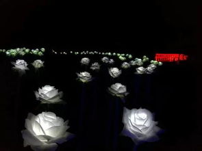 六、 星座里的死生契阔