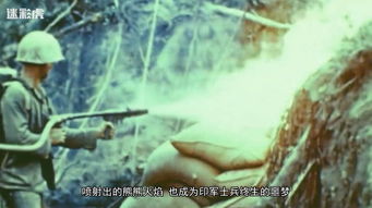 四、 兔与双子座——柔软与多变的交响曲