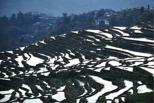 四、红河县绿树格梯田——“一眼望不到头”的错觉艺术