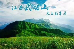 五一假期，一场说走就走的亲子探险之旅，你准备好了吗？