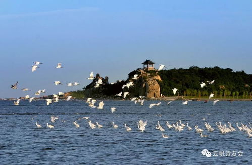 临渝特有探险：雨林徒步+星空观测