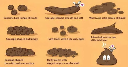 肠道里的细菌大战