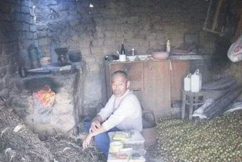 属相相冲的影响