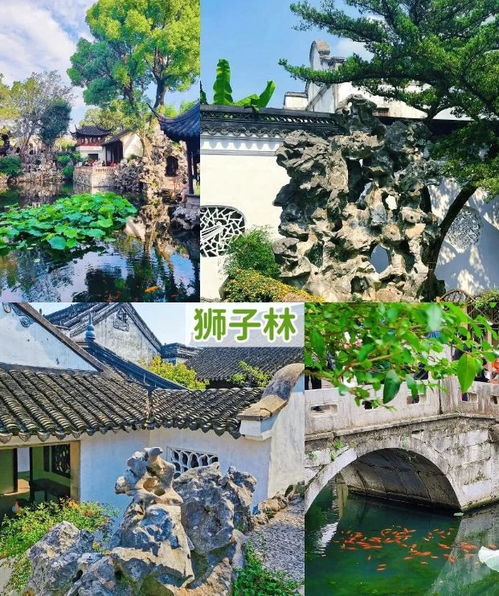 下午：逛留园 & 虎丘