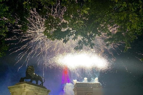桃花岛夜游的沙雕见闻