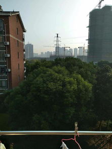住宅旁种树对风水有影响吗？