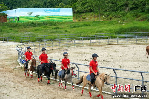 矮马王国初探：比想象中梗迷你！