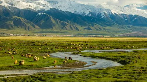 国家级景区：这牌子真不少