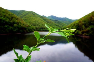 2. 南山竹海景区