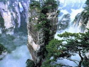 费用解析：人均1000元，良心价无隐形消费，比自驾游划算多了