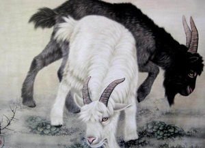 2025年底的大雪节气：一场让人崩溃的运势大乱斗