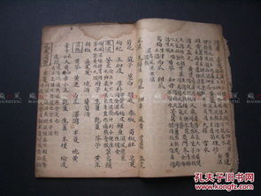 符存审：忠诚与英勇并存