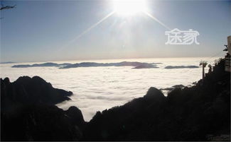 春节黄山， 雪景如画