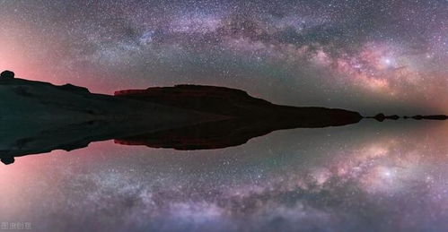 夜深人静时的夹竹花影