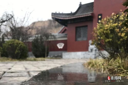 三、 墓地清理：把杂草拔掉才算对得起祖宗（但别拔太狠）