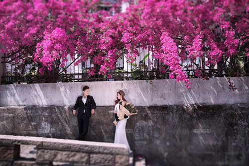 三、 北方：水属性与和谐 (注意防潮!)