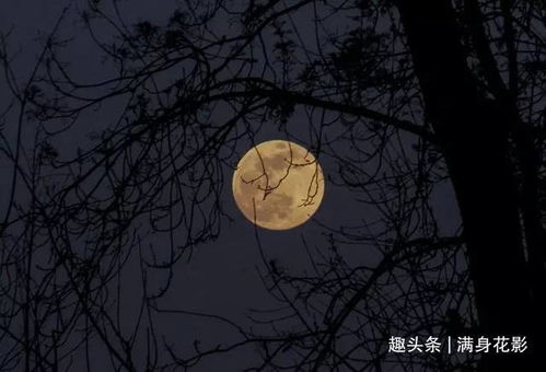 再说说的呼唤