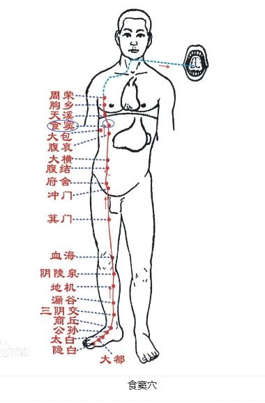 身体哪个部位被称为命关？